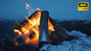 🔥 A Crackling Campfire During a Windy Winter Night 10 HOURS 50FPS 🔥 Cozy Fireplace 4K for Sleeping [upl. by Dearborn]