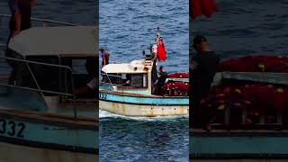 🚤✨ babor alger maghreb sea algeria dzpower oran world tiktokvideo shorts dz [upl. by Annoed755]