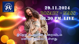 MASS 29112024  0630 PM  LIVE  STFATIMA SHRINE  VALLIYUR  TAMILNADU  INDIA [upl. by Anirol]