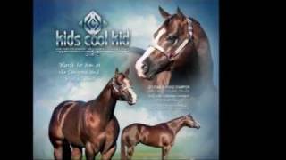 Kids Cool Kid  AQHA Stallion [upl. by Ferdinande]