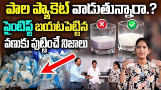 పాల పాకెట్స్ వాడే వారు తప్పక చుడండి  GOOD MILK VS BAD MILK  Adulterated milk Test  iD Health 360 [upl. by Eelana843]