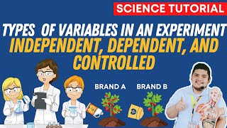 TYPES OF VARIABLES INDEPENDENT DEPENDENT CONTROLLED SCIENCE 7 QUARTER 1 MODULE1 WEEK 1 [upl. by Eanel]