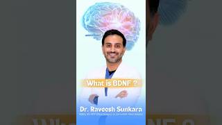 Boost Your Brain Health Understanding BDNF brainhealth brainboosters brainpower neuroscience [upl. by Brost545]