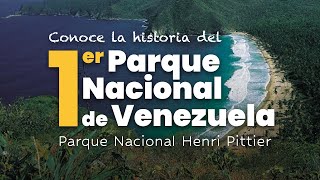 🌴 Proyecto HENRI PITTIER Parque Hombre y Cacao  🇻🇪 El PRIMER Parque Nacional de Venezuela Micro [upl. by Synn455]