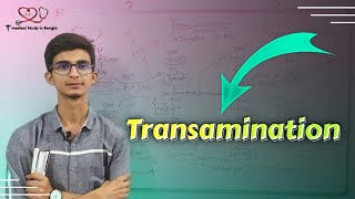 Transamination in bangla Amino acid catabolism [upl. by Frank]