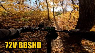 FALL MTB RIDE 72V BBSHD FLIPSKY 75100 PRO V2 Colorful Leaves Skimpy McDeals Fry Theories [upl. by Shaer]