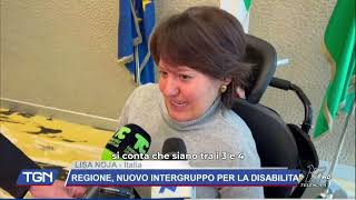 Regione Lombardia nuovo Intergruppo per la disabilità [upl. by Nileak410]