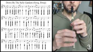 Tuto Tin Whistle  Down By The Sally Gardens Song Dmaj [upl. by Durnan]