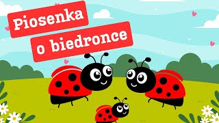 Biedroneczka  piosenka o biedronce  piosenki dla dzieci [upl. by Alviani]