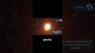 How Gravity Shapes the Life and Death of Star [upl. by Finny446]