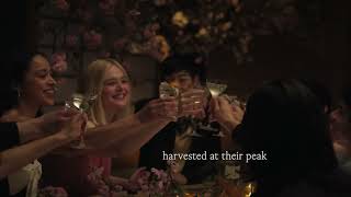 Discover Roku Gin with Elle Fanning  The House of Suntory [upl. by Sileas]