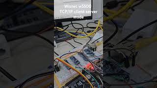 Wiznet w5500 TCPIP communication wiznet w5500 socket tcp [upl. by Yeldar]