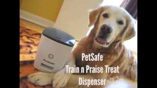 PetSafe Train n Praise Treat Dispenser [upl. by Epul915]