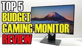 ✅ 2020 Review Dell S2417DG Gaming Monitor  Top 5 Best Budget Gaming Monitors [upl. by Abbotsen138]