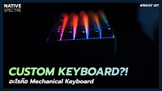 Custom keyboard คืออะไร  Mechanical Keyboard  TH [upl. by Jehiah447]