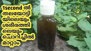 ചൊറിച്ചിലിനു ഇത് ഒറ്റ തവണ ഉപയോഗിച്ചാൽ മതിchorichil maranitching treatment at home remedy [upl. by Cran238]