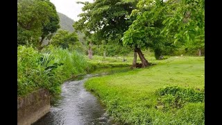 Mwen damou Kanperen Visiting Camp Perrin in Haiti [upl. by Euqinot679]