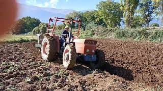 Same Corsaro 70 con aratro idraulico Nardi in aratura by nonno Bruno rural agriculture [upl. by Iruahs]