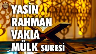 Yasin Rahman Vakıa Mülk Suresi Tebareke  Shamil Gadzhiev  fussilet Kuran Merkezi [upl. by Inalaek692]