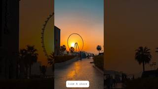 Have you seen orange eye in dubai bluewater bluewater visitdubai shorts [upl. by Erdah]