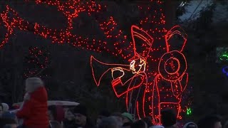 Ceremonia del encendido del árbol navideño en el Zoológico de Lincoln Park [upl. by Aitret]