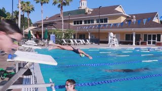 Thinking of competitive swimming while watching the Paris Olympics Here are clubs on First Coast [upl. by Herzig]