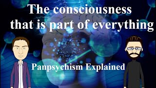 Panpsychism Explained [upl. by Semadar665]