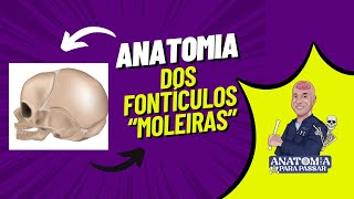 Anatomia dos fontículos quotmoleirasquot [upl. by Lynnworth]