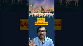 Gotram  గోత్రము gotram god festival trending viralvideo ytshort ytshortsindia cow [upl. by Sudhir]