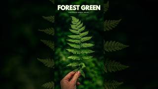 Forest Green Lightroom Preset  Free Preset Lightroom Mobile  Nature Presets  Dark Green Preset [upl. by Repsaj902]