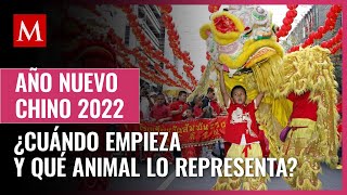 Año Nuevo Chino 2022 cuándo empieza y qué animal lo representa [upl. by Aniratac323]