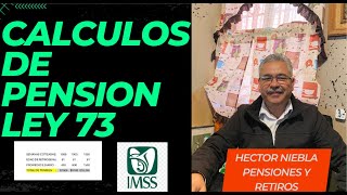 CALCULOS DE PENSIONhectorniebla76 [upl. by Felten]