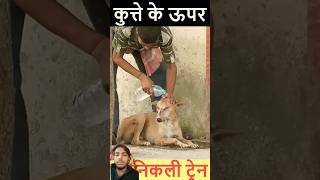 Kutte ke upar train 😰 rescuefacts dog amazingfacts train factsinhindi greenscreen viralvideo [upl. by Ahsimac80]