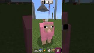 i spawn sheeps until I found pink colour sheep 🐑 chance000004 minecraft gamingshortssubscribe [upl. by Egedan15]