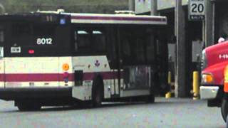 View of TTC Queensway Bus Garage [upl. by Yrruc]