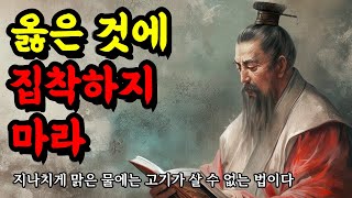 지나치게 맑은 물에는 고기가 살 수 없는 법이다  인생의 지혜 순자 채근담 법구경 도덕경 톨스토이 쇼펜하우어  옳은 것에 집착하지 마라 [upl. by Innob]