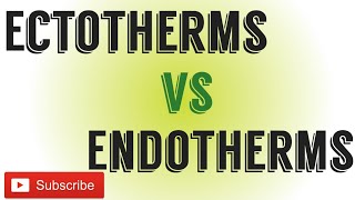 Ectotherms Vs EndothermsDifference between Ectotherms and endotherms [upl. by Reahard]