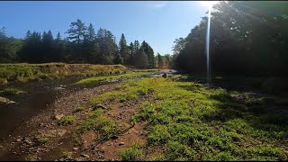 Last Fly Fishing Trip of the 2024 Season  Nova Scotia Trout Fishing [upl. by Thordia559]