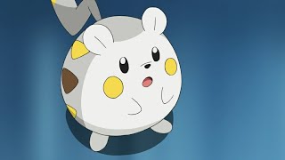 Togedemaru Pokemon all Attacks pokemon togedemaru all new attacks [upl. by Todd988]