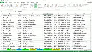 Excel Tutorial  Using text filters [upl. by Morette]