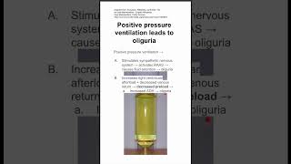 Positive pressure ventilation leads to oliguria [upl. by Oakman]