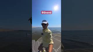 blaavand travel denmark blåvand holiday [upl. by Schuh]