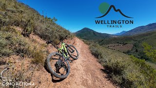 MTB  Wild Boar Trails Wellington [upl. by Enos]