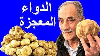 الثورة العلمية التي أسس لها سيدنا محمد عليه الصلاة والسلام [upl. by Sanburn780]