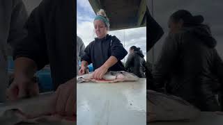 Salmon fishing in alaska alaska vanlife alaska fishing  female angler  fish filleting [upl. by Spratt]