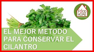 💯Cómo conservar el CILANTRO fresco POR 15 DIAS💯 [upl. by Chancey]