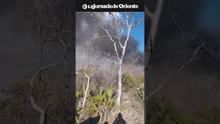 Incendio forestal en Tepexi de Rodríguez y Santa Rita Ahuatempan afecta alrededor de 40 hectáreas [upl. by Irrab]