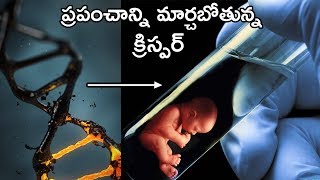 Explaining About CRISPR CAS9  Genetic Engineering In Telugu [upl. by Lorrac]