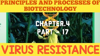 12th biobotany chapter4 Principles And Processes Of Biotechnology VIRUS RESISTANCE [upl. by Weisler]