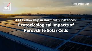 AXA Fellowship  The Ecotoxicological Impact of Perovskite Solar Cells  AXA Research Fund [upl. by Marou]